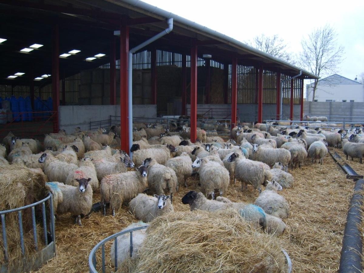 Church Farm Стратфорд-апон-Эйвон Экстерьер фото
